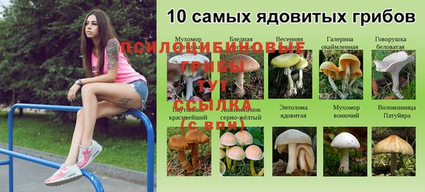 спайс Нефтекумск