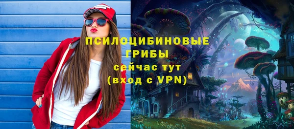 соль ск Нефтегорск
